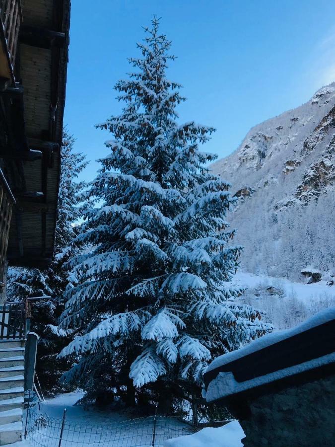 Casa Vacanze Nora Шамуа Екстериор снимка